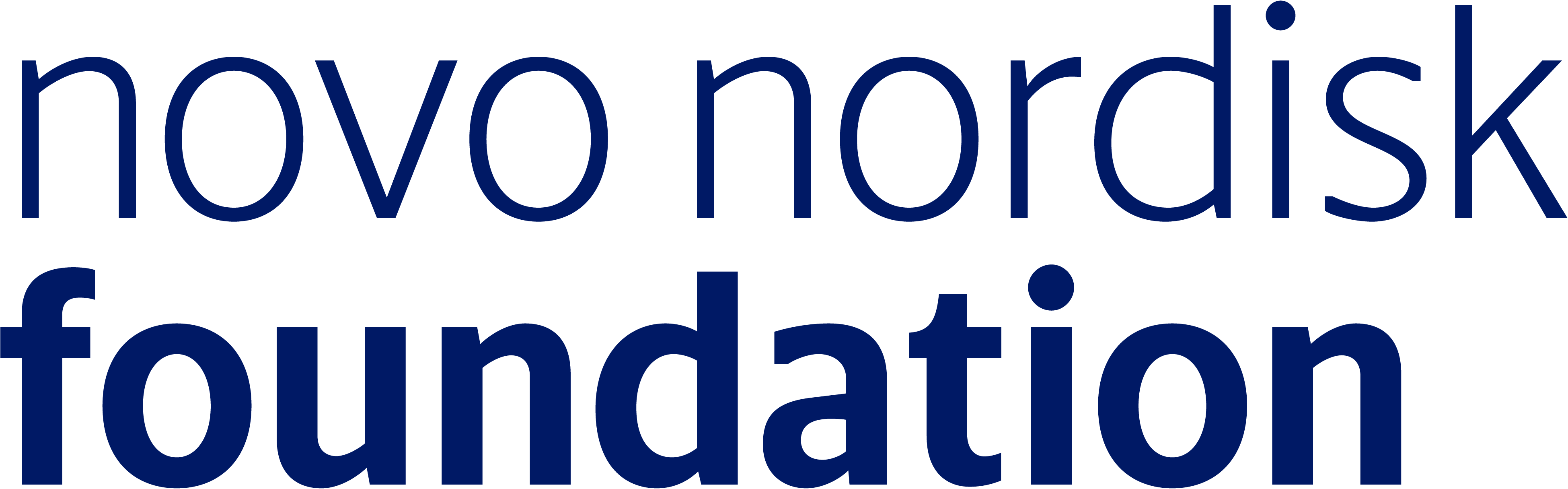 NNF-INT_logo_blue_RGB_solid